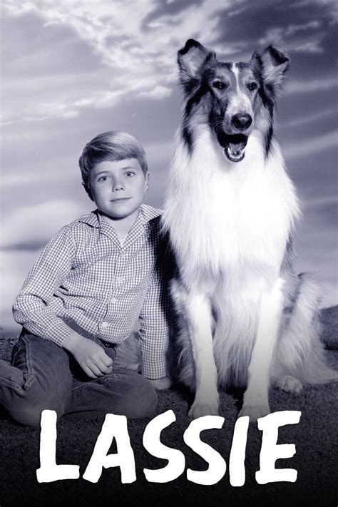 How Lassie paved the way for other iconic animal characters in media